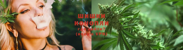 ALPHA PVP Белокуриха