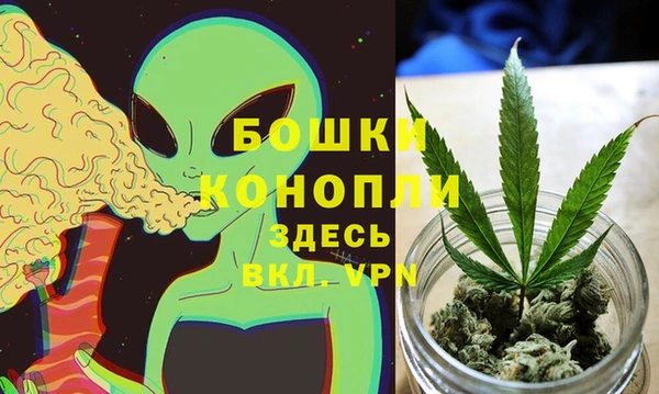 ALPHA PVP Белокуриха