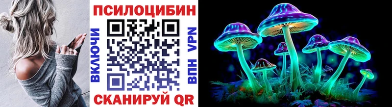 Купить закладки  Асино  Галлюциногенные грибы мицелий 